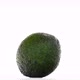 Avocado on white Background - VideoHive Item for Sale