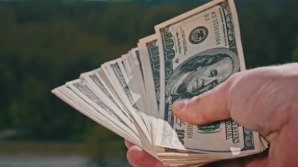 Male Hands Show Old Dollar Bills Like a Fan on Backdrop of Green Nature