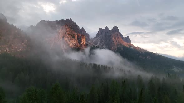 Aerial view of a summer forest with fog and mist