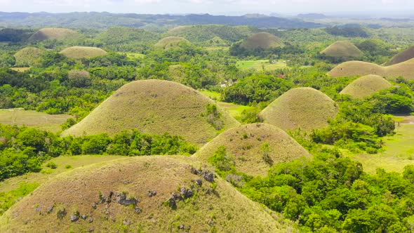 Chocolate Hills