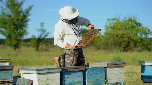 Man With Honeycombs of Bees