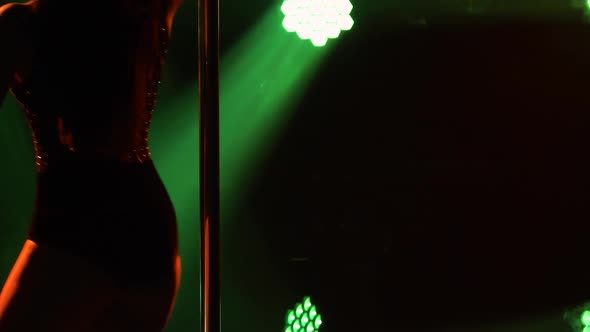 An Exotic Pole Dancer Performs in a Nightclub