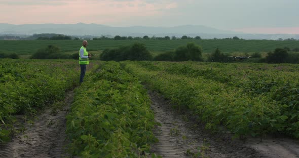 Agronomist Uses a Drone To Study the Field. Agronomist Uses Technologies in the Production of