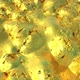 Golden Molten Stream - VideoHive Item for Sale