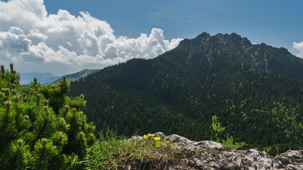 Clouds Convection in Mountains