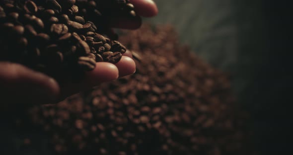 Fragrant Roasted Coffee Beans Splashing From Woman Hands. Aromatic Smoke and Brown Background in