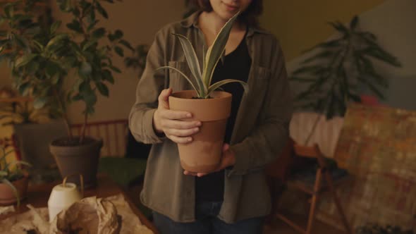 A Charming Young Girl Holds a Clay Pot with Sansevieria in a Stylish Room with Many Indoor Plants