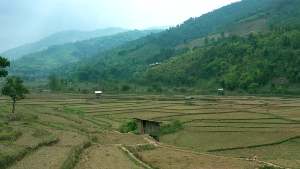 Wat Ban Wen Rice Fields in Nan Province Thailand