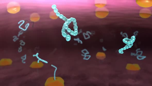 Animation into molecular structure Molecules. Molecules that are laid out in an orderly row.