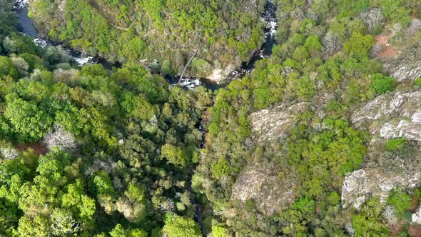 Aerial Birds Eye Flying Over Forest Ravine With River Deza Weaving Through