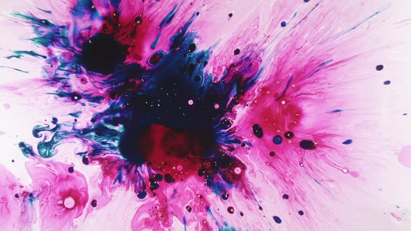 Color Explosion Ink Splash