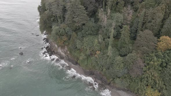 Aerial view of Green cape and Botanical garden in Batumi, Georgia