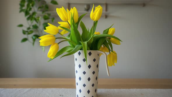 Beautiful Yellow Tulips Rising In Flower Vase On The Table. close up, time lapse