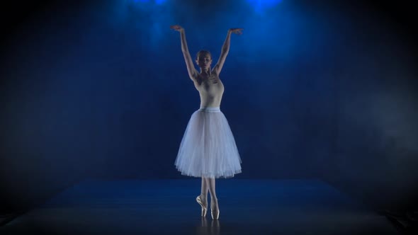 Alluring Ballerina in White Tutu Performing Classical Ballet. Slow Motion.
