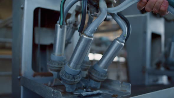 Cow Milking Device Checking Procedure on Modern Machinery Manufacture Closeup