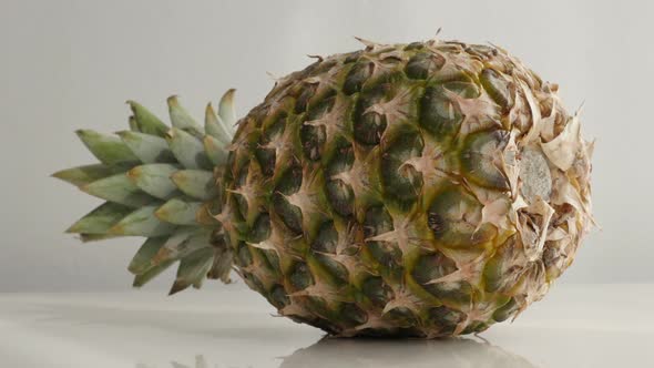 Close-up of pineapple  laid down 4K 2160p 30fps UltraHD tilting footage - Ananas comosus exotic frui