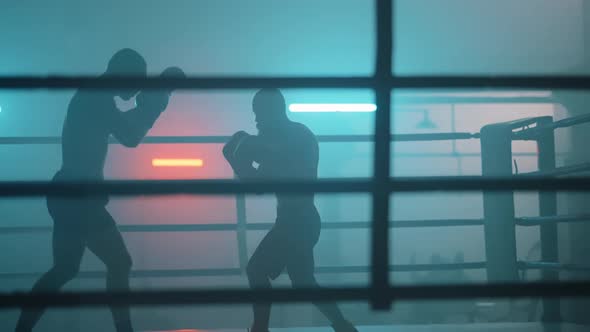  Fight Silhouette