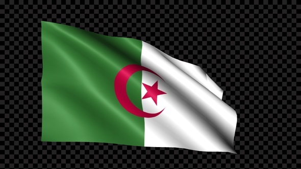 Algeria Flag Blowing In The Wind