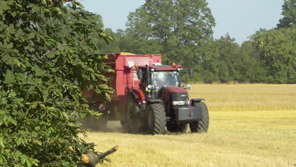 A Focused View of a Branch of a Green Tree, Tractor in a Grain Field Passes By, Combine Harvester