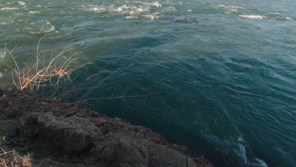 River Nature Panorama