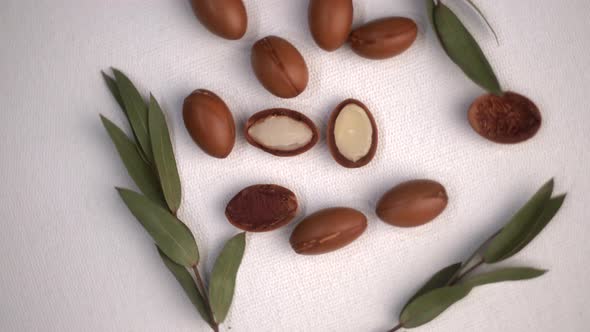 Argan Seeds on a White Background