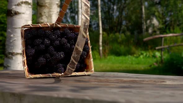 Blackberries Falls on a Wooden Table From a Basket