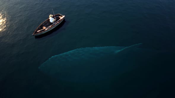 Fishing, Big Shark 4k