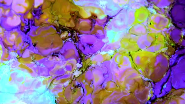 Color Explosion Abstract Art Painting 458 alt