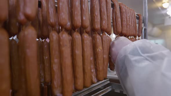 Worker of the Meat Processing Factory Examines Readymade Sausages Before the Packaging