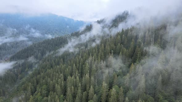Fog in the Mountains. Aerial View of the Carpathian Mountains in Autumn. Ukraine