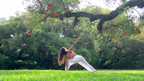 Young Woman Practicing Yoga Performing Succession of Asanas in a Green Park under a Tree