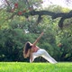 Young Woman Practicing Yoga Performing Succession of Asanas in a Green Park under a Tree - VideoHive Item for Sale