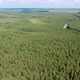 Flight Over the Taiga - VideoHive Item for Sale