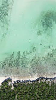 Vertical Video of the Ocean Near the Coast of Zanzibar Tanzania