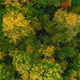 Aerial Video of Autumn Forest on a Cloudy Day - VideoHive Item for Sale