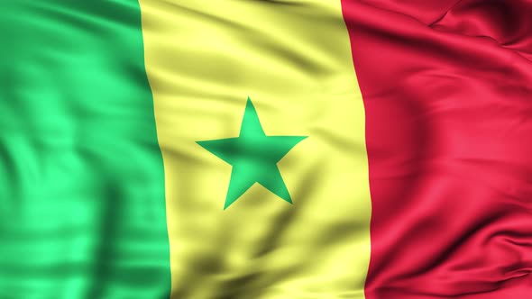 Senegal Flag