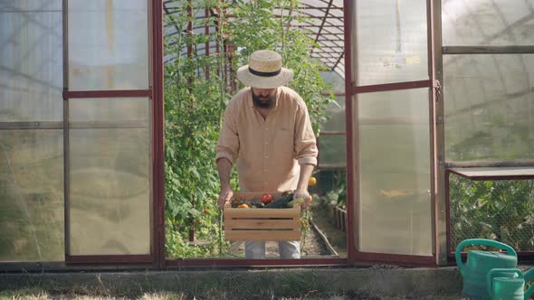 Overworked Caucasian Male Farmer Raising Wooden Box with Harvest Suffering Back Pain