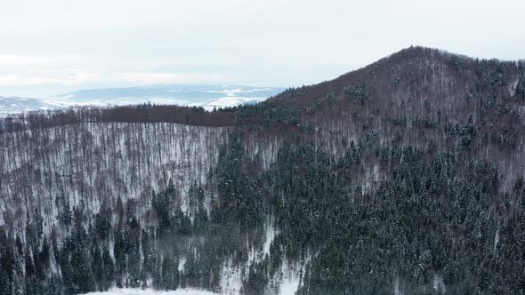 Aerial crane reveal shot, panoramic snowy winter landscape behind forested ridge, cloudy day