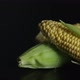 Pan Shot Corn In Studio - VideoHive Item for Sale