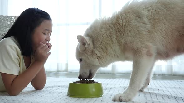 Cute Asian Girl Feeding White Siberian Husky Dog,Slow Motion