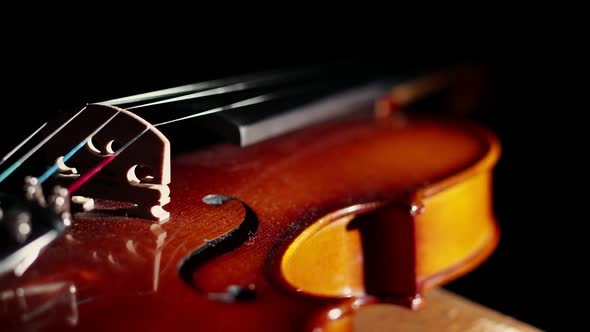 Detailed Display Parts the Violin Lying in Darkness Under a Ray of Light Closeup