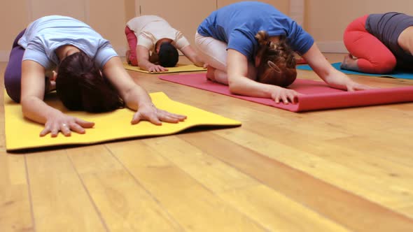 Group of people performing yoga