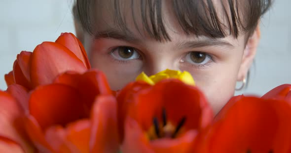 Spring mood with tulips.