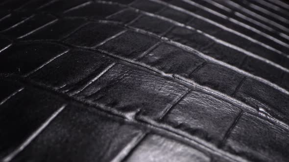 Texture of Real Black Exotic Animal Leather very close up. Natural pattern