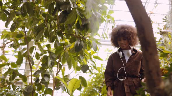 Young Woman Exploring Botanical Gardens