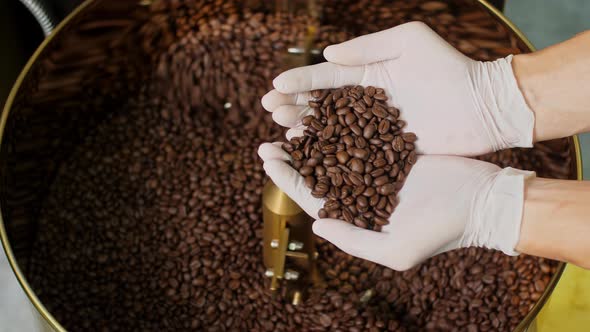 Roasted Coffee Beans In Man's Hand