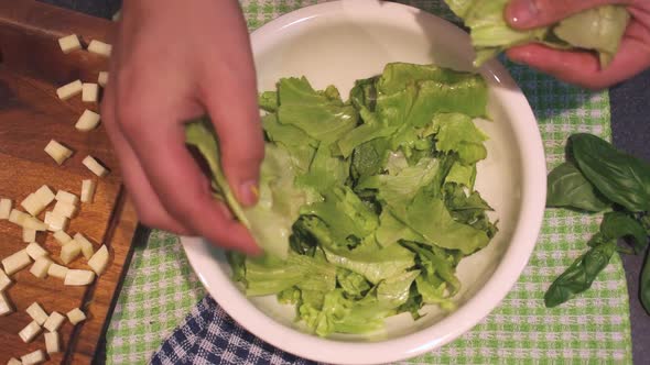 Hands making a lettuce salad on a white bowl