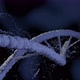 DNA molecula macro fly through with rotation and particle emission - VideoHive Item for Sale