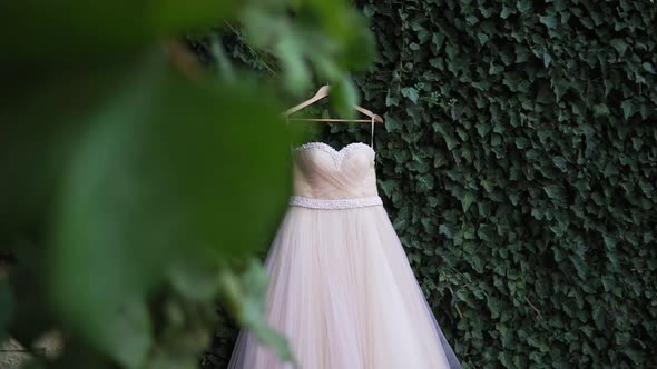 Wedding Dress with Pearls Hanging on a Shoulders in Green Garden Before Ceremony