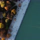 Drone Photography of Trees Bordering the Great Pond of Retiro Park - VideoHive Item for Sale